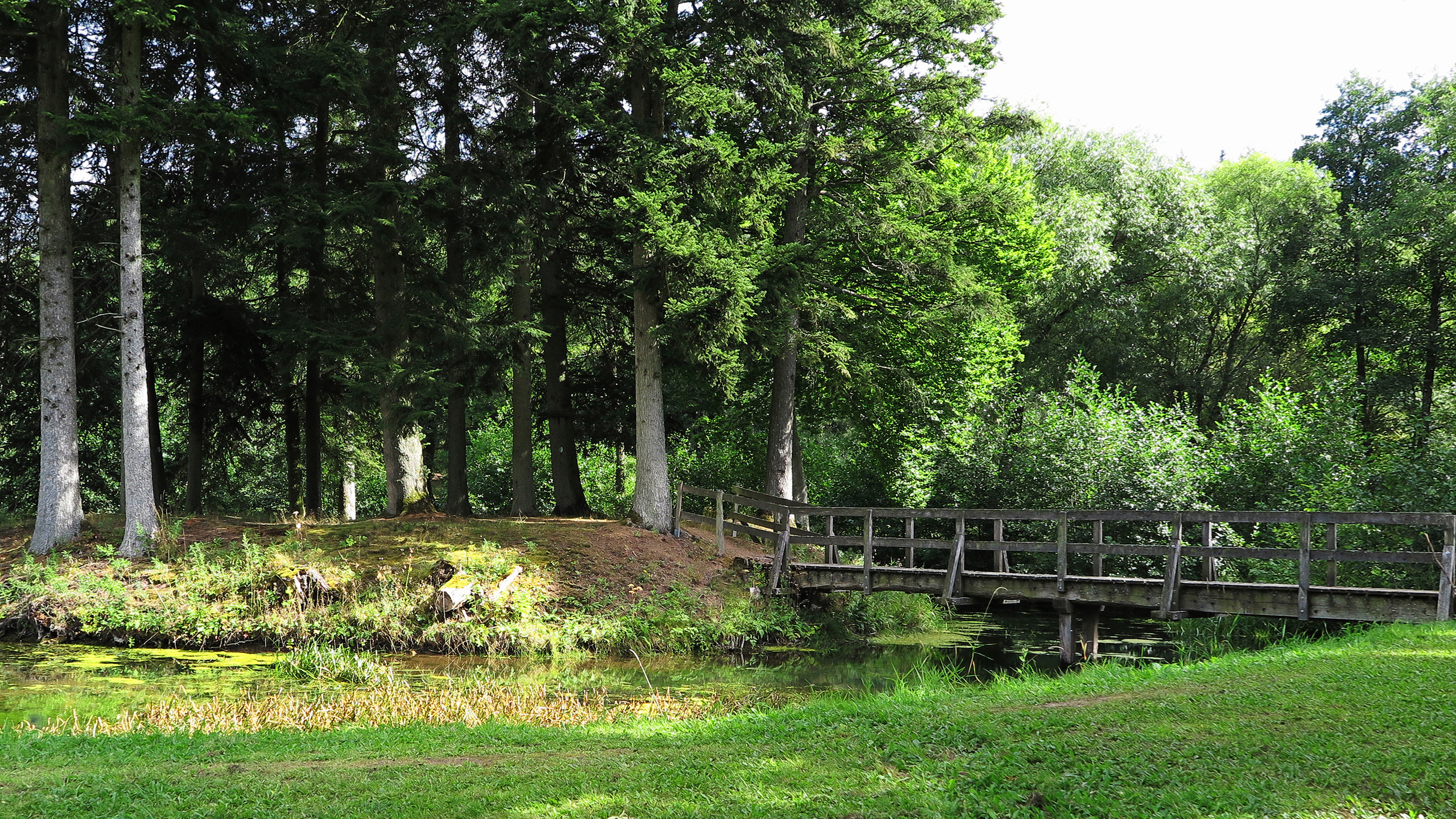 Motte Zehnbachhaus